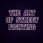 the art of street fighting cover